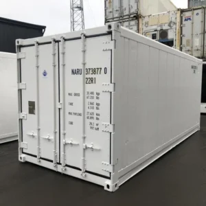 Container Frigorifero Thermo King 20 Piedi